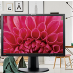 Lenovo LT2452p monitor review - a detailed analysis of features and performance