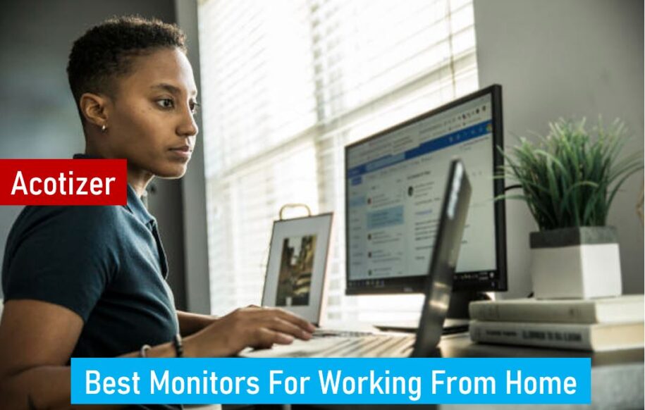 Best Monitors For Working From Home