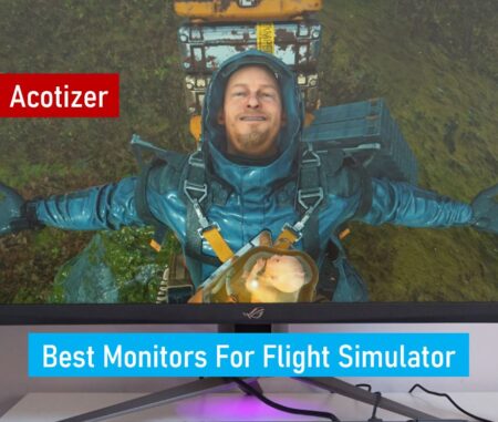 Best Monitors For Flight Simulator