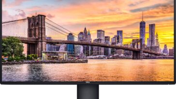 BenQ gaming monitor vs Dell professional display side-by-side comparison showing colors and design differences