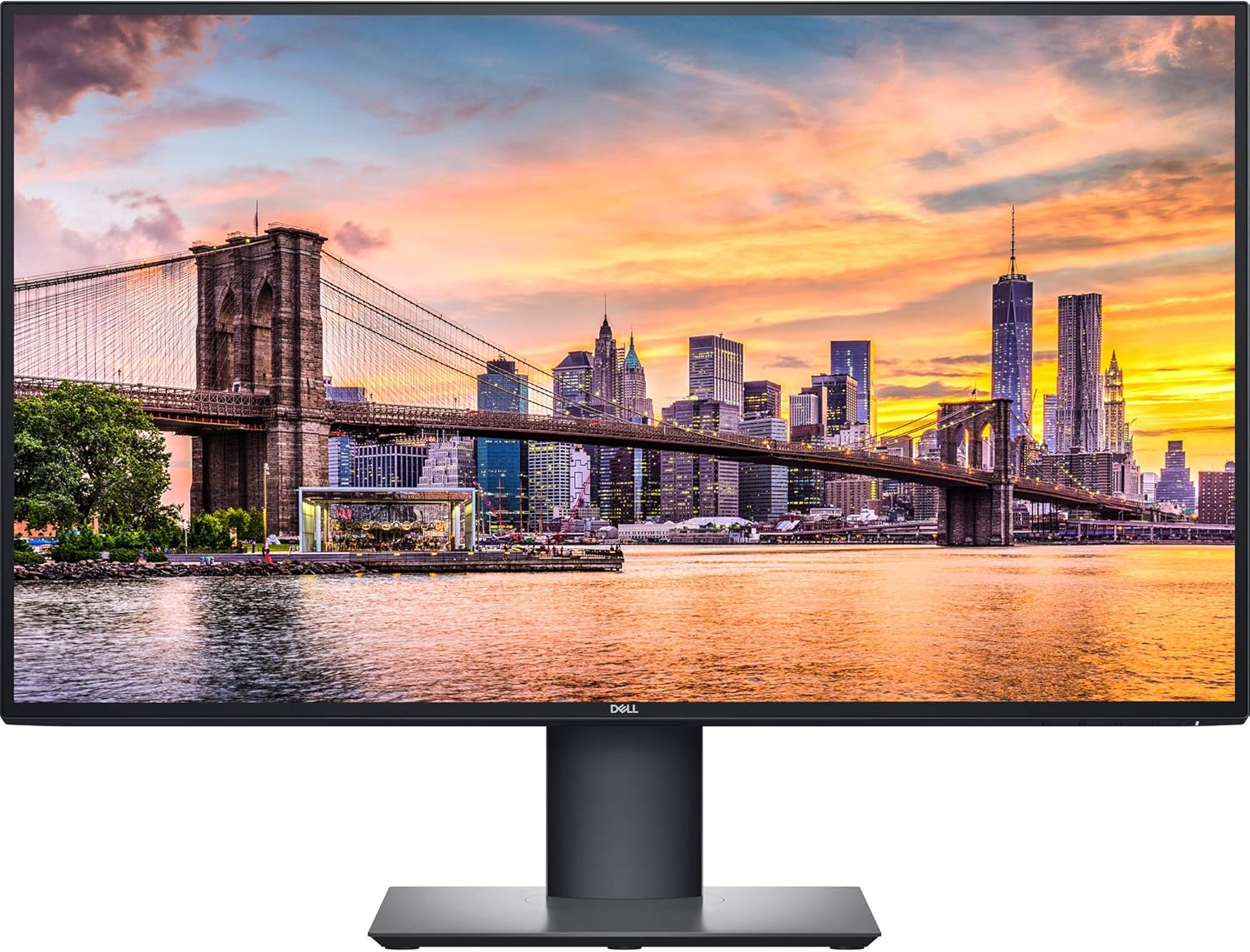 BenQ gaming monitor vs Dell professional display side-by-side comparison showing colors and design differences